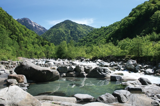 夏シーズンは新緑を眺めながらリラックスして入浴できる(深山荘)