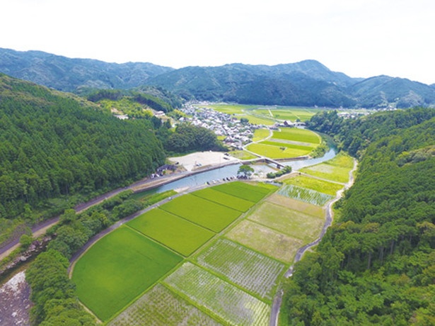 「大里親水公園自然プール」は農業用水のためにせきとめられている場所。のどかな風景が広がる