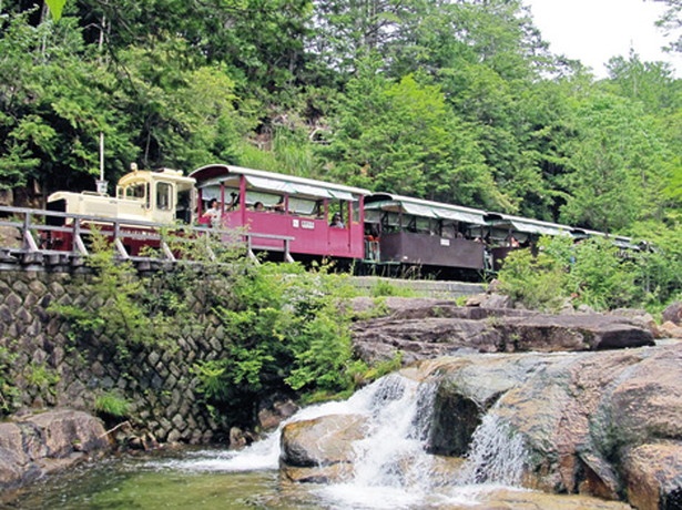 美しい林を縫うように渓流沿いを走る森林鉄道(中学生以上800円ほか)/ 赤沢渓谷