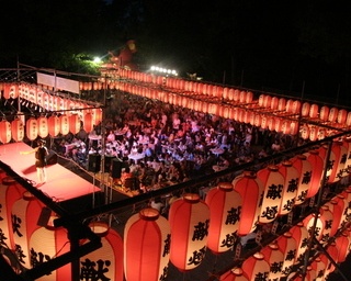 多度の杜に浮かぶ幻想的な灯り「多度大社ちょうちん祭り」