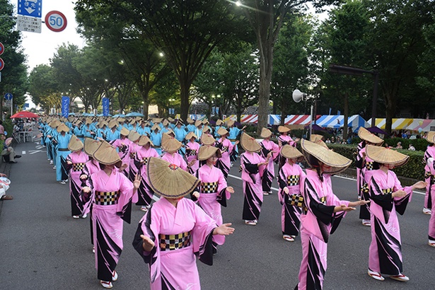 通りで披露されるおわら踊り