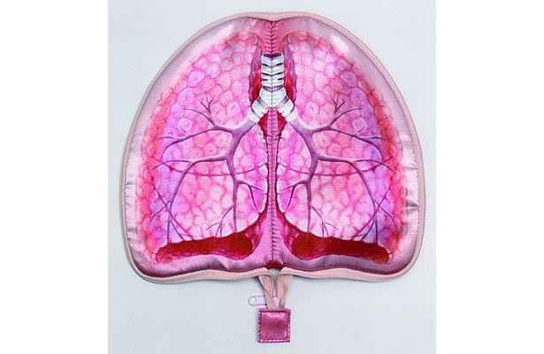 【写真】血管浮き出る肺や心臓など全種類の詳細はこちら！