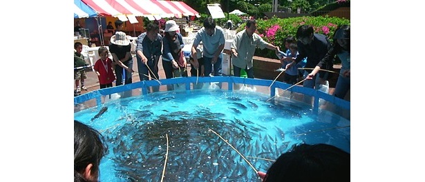 ハマチも釣れる！巨大SCの“釣り放題”大会とは？