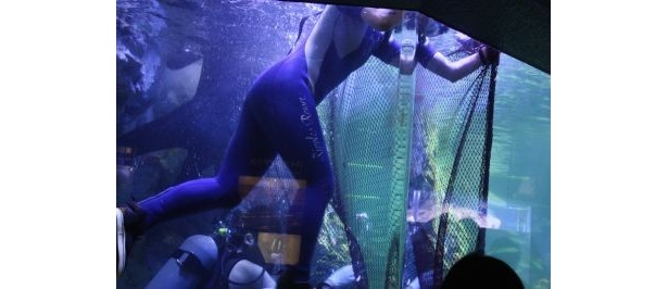 網を持って4人がかりで生物を捕獲