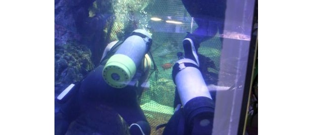 ゆっくり魚を追い詰めていく