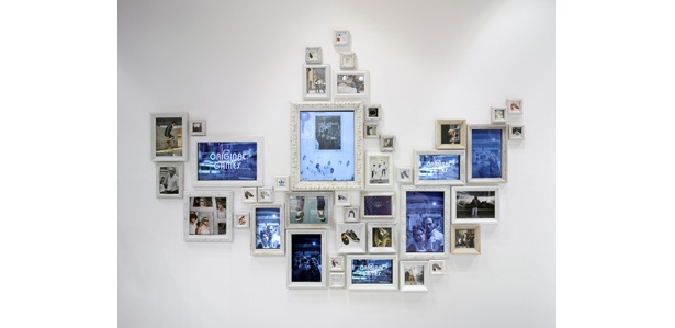 これが噂のtrefoil wall