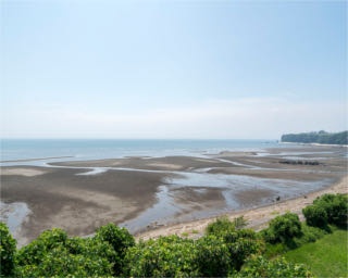 夏休みにおすすめ！別府湾が眩しい大分・日出｢糸ヶ浜海浜公園｣で夏レジャーも堪能！