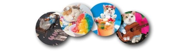 コールドドリンクを注文すると、オリジナルレアグッズの「にゃらんコースター」が配布される