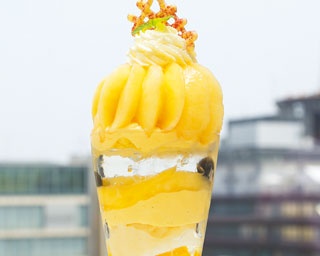 ミントゼリーで涼やか桃のケーキパフェ！マールブランシュ ジェイアール京都伊勢丹6Fサロン店
