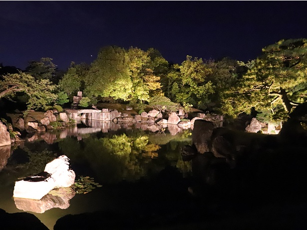 特別名勝・二之丸庭園をライトアップ