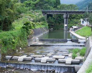 夏休みにおすすめ！川エビ捕りも楽しめる自然プール。宮崎「野島川河川プール」を無料開放