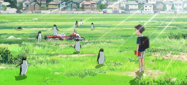 真夏の住宅街らしからぬ不思議な光景が広がっていく…(『ペンギン・ハイウェイ』 )