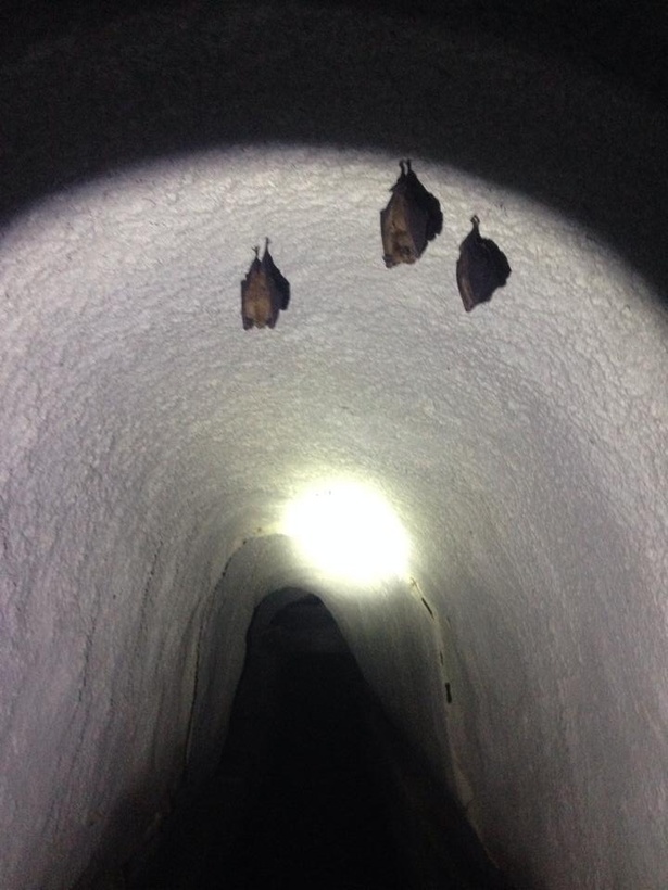 マブ(トンネル）の中にはコウモリが！ ヘッドライトで照らすトンネルをカヌーが疾走！！