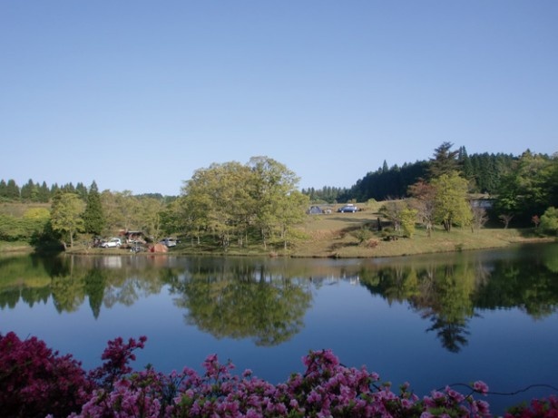 井無田高原キャンプ場 / 緑豊かな水辺のサイト。四季折々の草花も目を楽しませてくれる。釣り具を持参すれば池で釣りもOK 