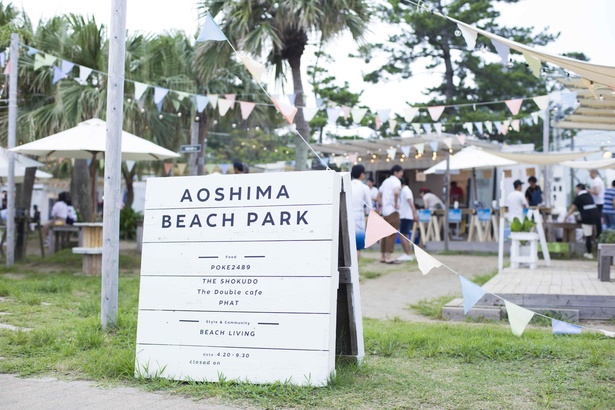 「AOSHIMA BEACH PARK」