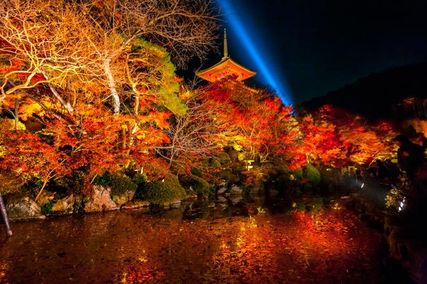 京都屈指の紅葉スポット「清水寺」。 美しさは格別だ