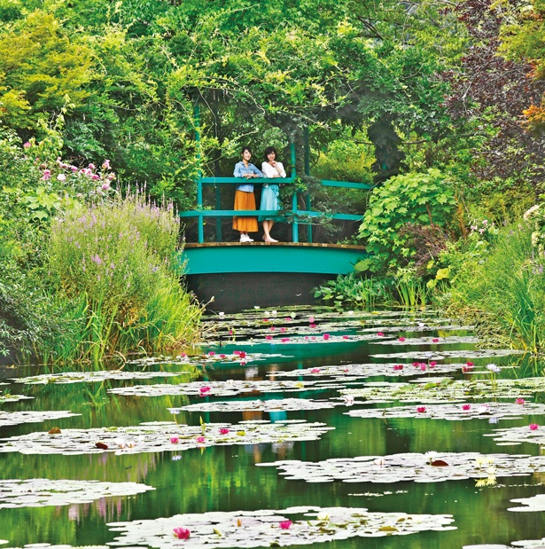 高知旅では、モネの名作「睡蓮」の景色が広がる世界で2つしかない「モネの庭」へ
