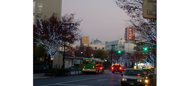 駅前から元渕江公園に続く街路樹も、光をまとう