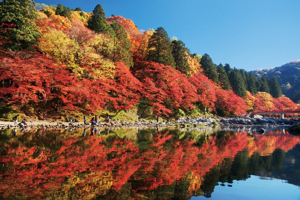 秋絶景10景も見逃せない！“紅葉の秋”ならではの艶やかな景色を楽しもう!!