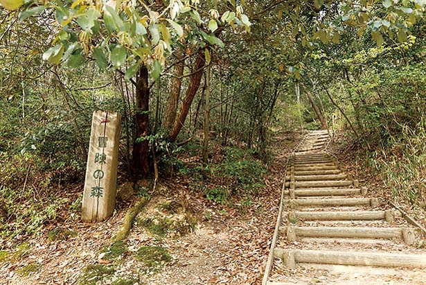 「遊びの森」から「冒険の森へとつながる自然観察路」/京都府立山城総合運動公園 太陽が丘