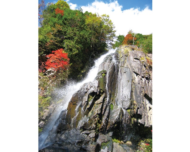 【写真を見る】森林公園おおくら滝。広大な公園内には、なんと大小合わせて100もの滝が！