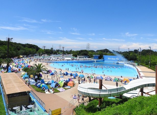 豊富なプールに大満足 東武動物公園に 東武スーパープール オープン中 ウォーカープラス