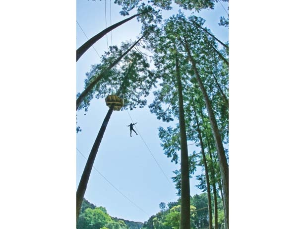 自然の立ち木の上に造られた足場から約130mのジップスライドで空中へダイブ!!