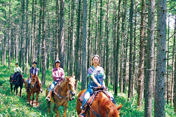 優雅な乗馬体験はいかが 岐阜 長野の高原で楽しむホーストレッキング ウォーカープラス