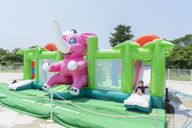 新アトラクション｢ふわふわ滑り台｣はパンダ、ゾウ、ライオンの3種あり、キッズも大はしゃぎ。小型ボート｢パワーパドラー｣も登場予定（各1人5分/500円）※3〜6歳が対象