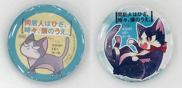 コミックマーケットでは、公式Twitterをフォローすると、「ハルの猫缶バッチ」が抽選で当たる!