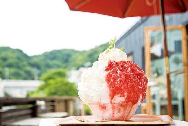 赤と白のコントラストが写真映えする｢ひなたカフェ｣の｢イチゴヨーグルト｣(1,100円/天然氷 ※純氷は950円)。練乳ヨーグルトと濃厚なイチゴソースで