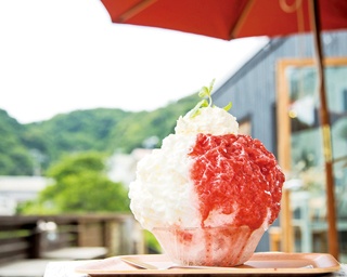  希少な｢天然氷｣のかき氷を味わえる神奈川のおすすめ3店