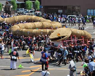 伝説の大蛇が練り歩く！新潟で｢えちごせきかわ大したもん蛇まつり｣