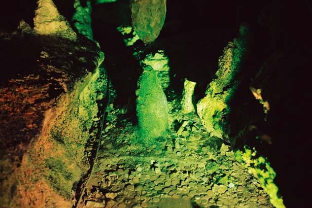 【獅子の窟】連中から鍾乳石、下から石筍が伸びる。数千年後にはつながり、柱になる/面不動鍾乳洞