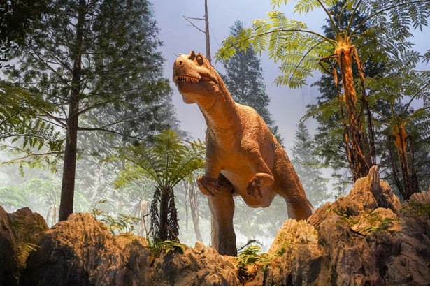 10メートルを超える大型の肉食恐竜・ワキノサトウリュウも迫力たっぷり！