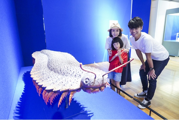 夏の特別展「へんてこモンスター」。史上最大の陸上節足動物、アースロプレウラの復元模型も展示