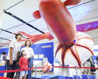 福岡“キタキュウ”で遊ぶならココ！親子で楽しめる夏休みの新レジャーを体験レポート！