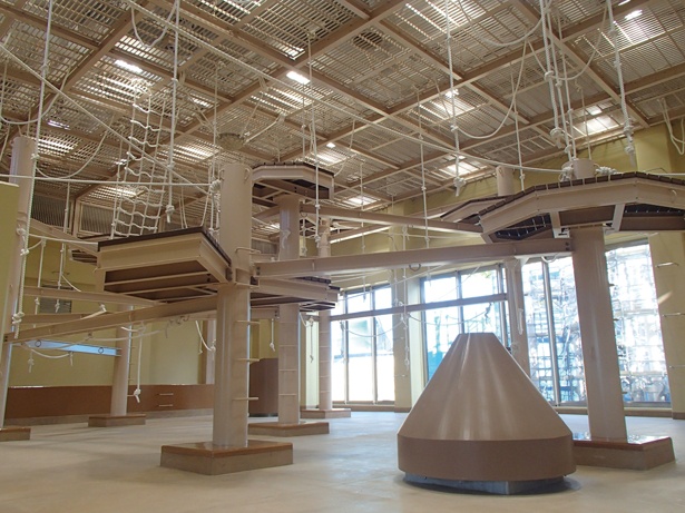 【写真を見る】289平方mの屋内展示室では、ロープや柱を組み合わせた遊具で遊ぶ姿が見学できる