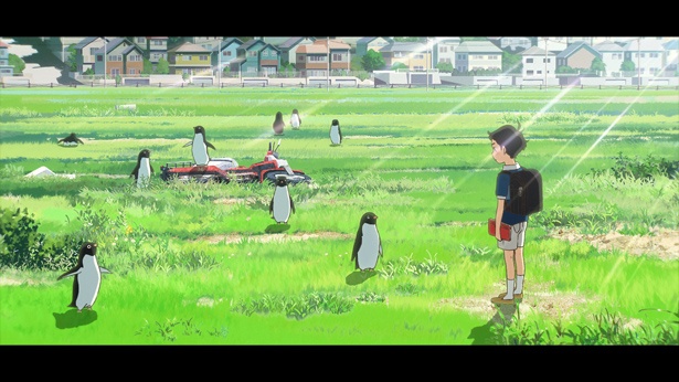 【写真を見る】過去の映像化作品から森見ワールドの魅力を探る!