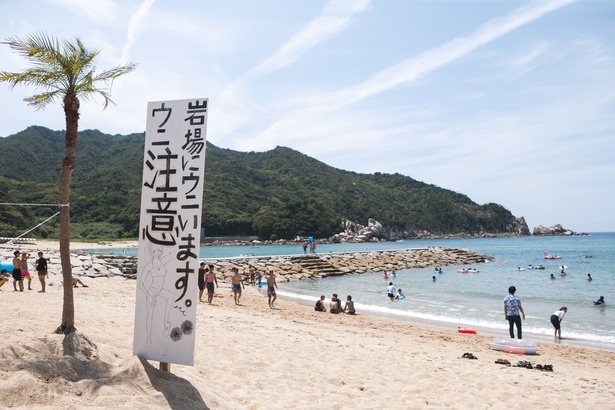 画像18 18 夏休みにおすすめ 海の家が大充実 福岡 糸島 芥屋海水浴場 ウォーカープラス