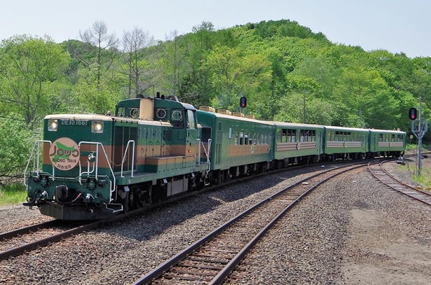 釧路湿原を列車の車窓からのんびり楽しむ くしろ湿原ノロッコ号 ウォーカープラス