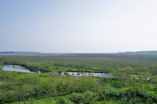 太古の自然が残る 釧路湿原 で野生動物の息吹を感じよう ウォーカープラス