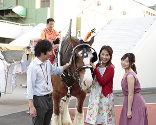 【東京CUTE競馬部(TCK部)】部員が調査！イケウマ＆イケメンを見つけよう！＜イケメン騎手をご紹介＞