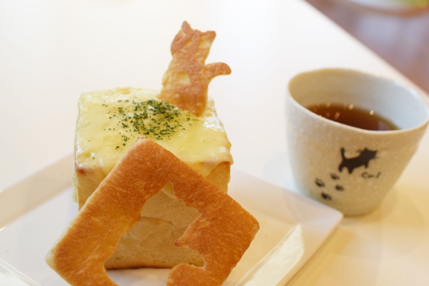 猫カフェでも美味しい食事を提供したい、との想いでパンを生地から発酵させてお店で作っている