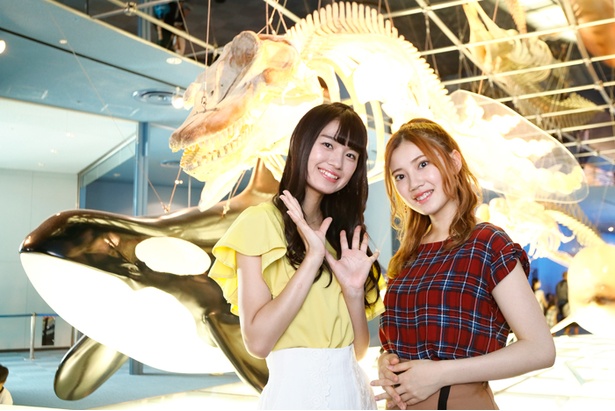  SKE48の北川綾巴と中野愛理が、名古屋港水族館をレポート！