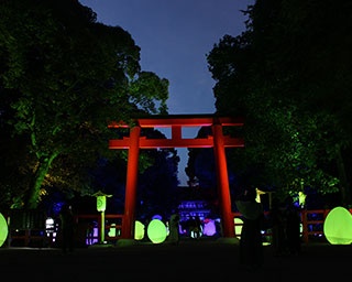 世界文化遺産・下鴨神社が幻想空間に！チームラボが手がける光と音のアートイベント開催