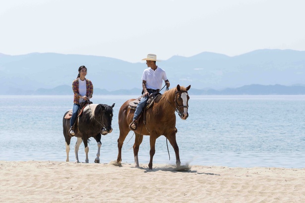 馬たちは砂浜でもスイスイ進んでくれるので、気分爽快！