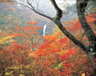 秋保大滝の紅葉 宮城県 の情報 ウォーカープラス