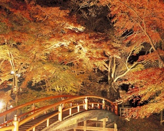 写真に撮りたい！関東のおすすめ紅葉スポット10選