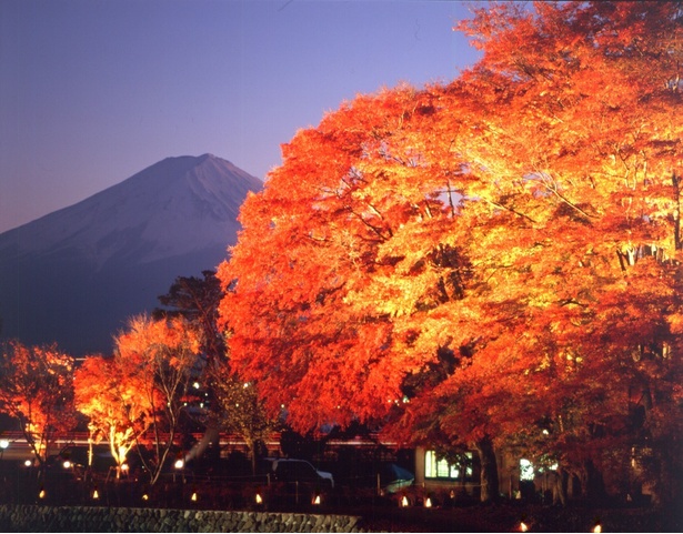 美しい紅葉と富士山のコラボレーションが楽しめる河口湖